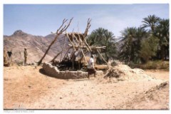 ���� ��� ������ ������ ��� ��� ����